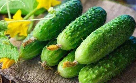 自家种的瓜花可以吃吗视频,揭秘可食用瓜花种植与烹饪技巧