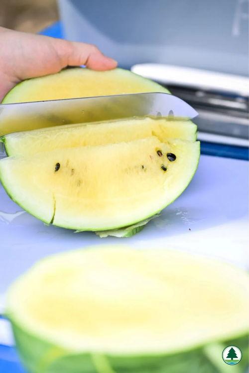 周五所有吃瓜原视频,盘点本周热门吃瓜视频