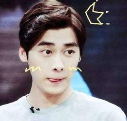 李易峰知乎吃瓜视频全集,揭秘娱乐圈幕后真相