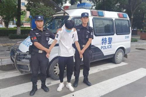 警察调解吃瓜被抓视频大全,网络热议背后的真相与反思