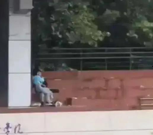 川媒学院吃瓜视频,揭秘校园生活趣味瞬间