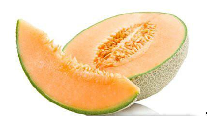 柯基敢吃哈密瓜吗视频,萌宠美食大冒险