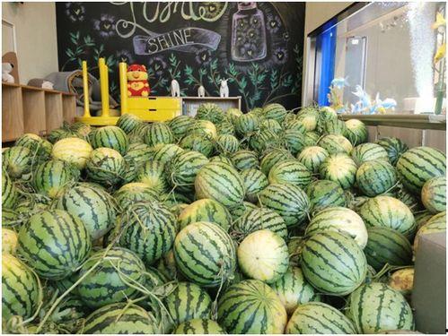 第一手吃瓜的视频,第一手吃瓜视频幕后真相大曝光