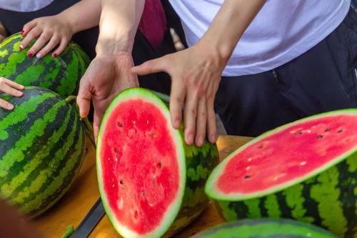 长清大学吃瓜视频免费,揭秘校园生活趣味瞬间