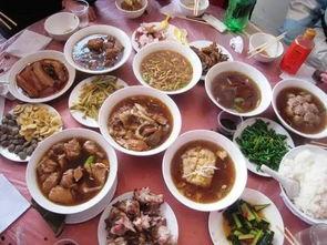 八大碗吃瓜捂脸视频,笑翻网友的欢乐瞬间