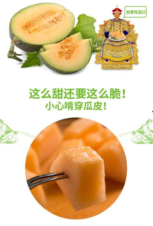 去兰州吃蜜瓜视频,甘甜滋味，视觉与味蕾的双重盛宴