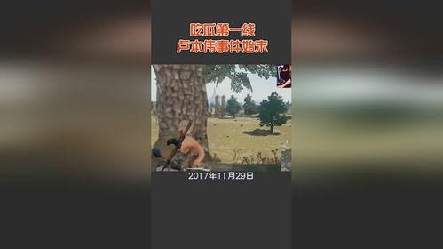 临沧野外吃瓜事件始末视频,一场意外引发的全民热议