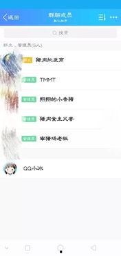 视频吃瓜群聊名称大全女,揭秘视频吃瓜群聊女生专属名称大全