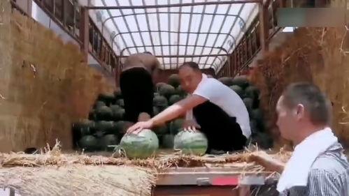 大型吵架吃瓜现场视频,视频揭秘激烈冲突瞬间