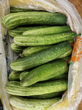 日本看中国吃无籽瓜视频,中国无籽瓜，口感独特引发热议！