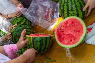 安徽吃瓜视频大全集,趣味横生的地方特色美食之旅