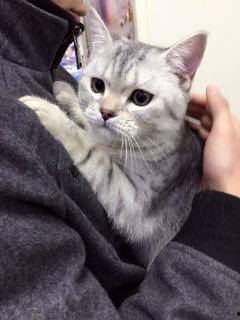 吃瓜视频大全爆笑,笑翻天！吃瓜视频大全爆笑集锦