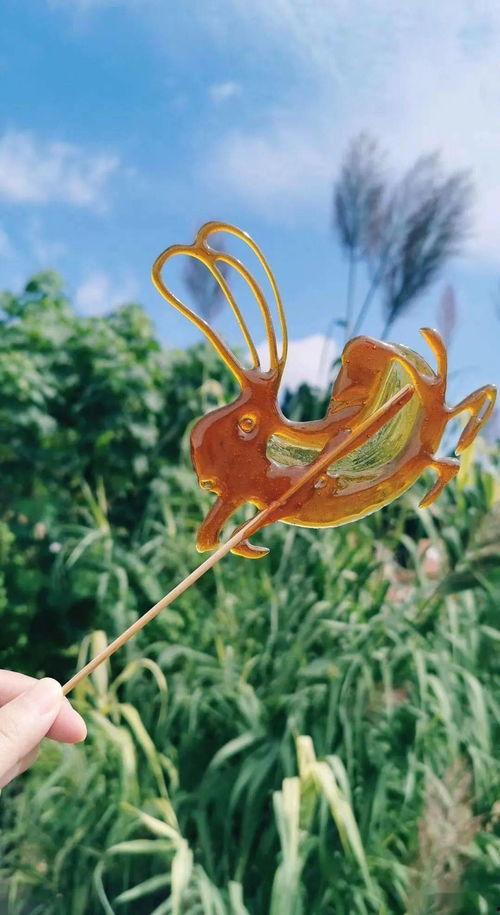 农民兄弟吃瓜视频,共享丰收喜悦