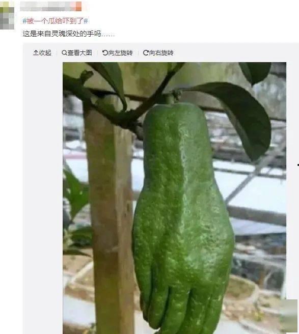 吃瓜不能错过的视频,吃瓜群众必看！盘点全网热门视频