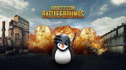 吃鸡歪瓜视频下载链接安装,轻松安装，畅享游戏乐趣